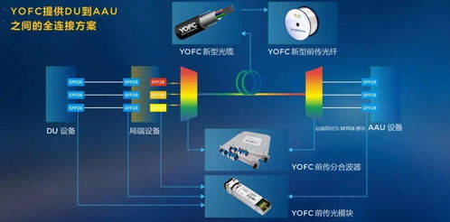 长飞公司携手学术创新，共塑光纤通信新未来